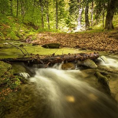 三张牌下载金花免费下载手机版